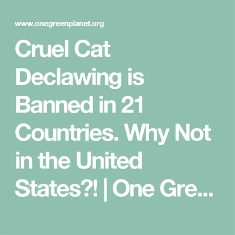 Cruel Cat Declawing Is Banned In 21 Countries Why Not In The United