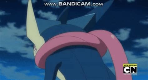 Greninja Pokemon Greninja Greninja Pokemon Greninja Pokemon X And Y Greninja Discover