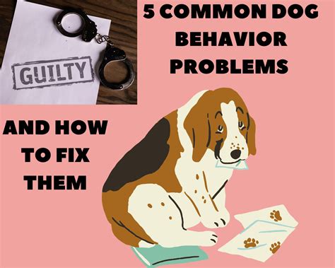 Dogs Luv Us and We Luv Them: 5 MOST COMMON DOG BEHAVIOR PROBLEMS AND