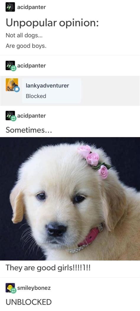 If Youve Ever Had A Dog Youre Gonna Want To Read These 18 Tumblr