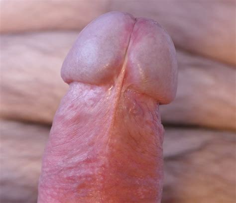 my cock photo album by shortround6 xvideos