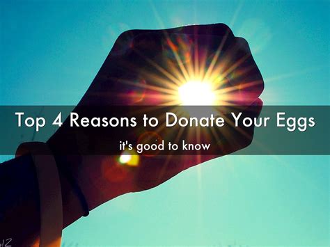 Apply to become an egg donor with myeggbank. Top 4 Reasons to Donate Your Eggs by chicagoivf