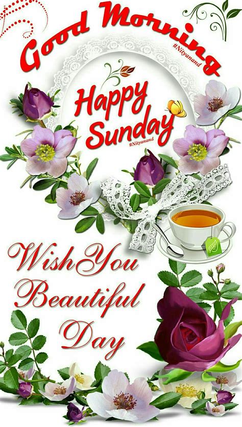 Pin By Æj On శుభోదయం Sunday Greetings Sunday Morning Wishes Happy