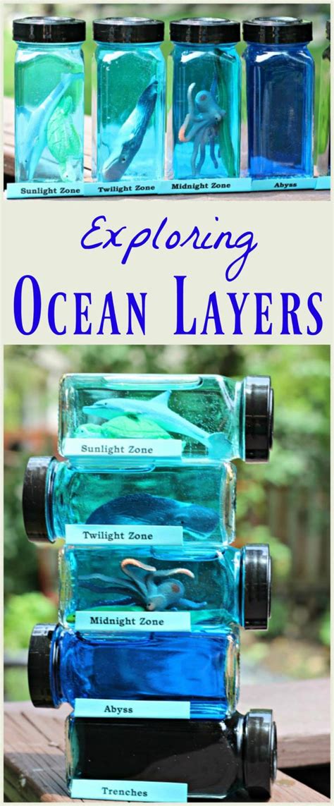 Ocean Zones For Kids Marine Life And Sea Layers