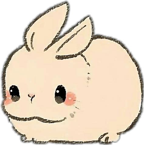 Download Hd Rabbit Rabit Animal Pet Kawaii Cute Cute Bunny Drawing