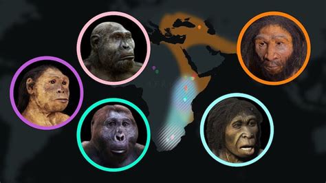 An Animated Timeline Of Human Evolution Over Seven Million Years As