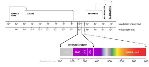Uvc Guide Your Ultimate Guide To Everything Uvc Including Far Uv