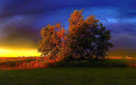 Late Autumn Sunset Wallpapers Wallpaper Cave