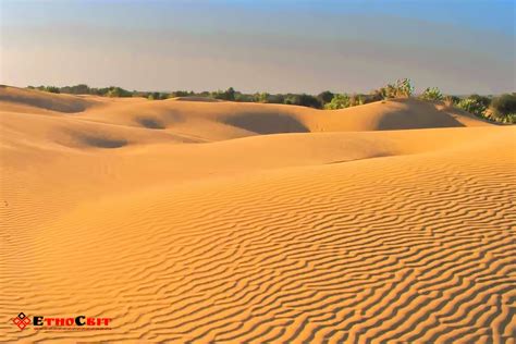 Олешківські піски в Херсонській області найбільша пустеля Європиetnosvit