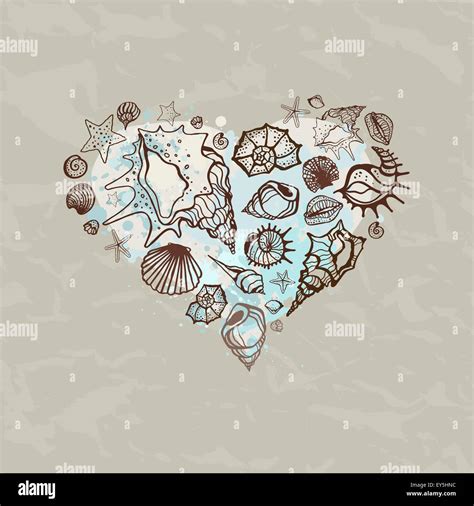 Heart Of Sea Shells Stock Vector Image And Art Alamy