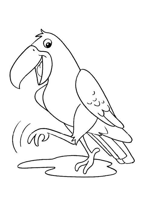 Desenhos De Aves Para Imprimir E Colorir Só Atividades