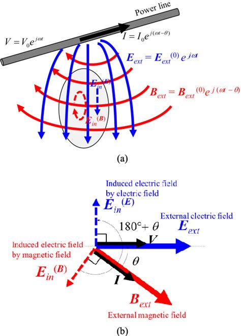Figure 2 From Calculation Of Electric Field Induced In The Human Body