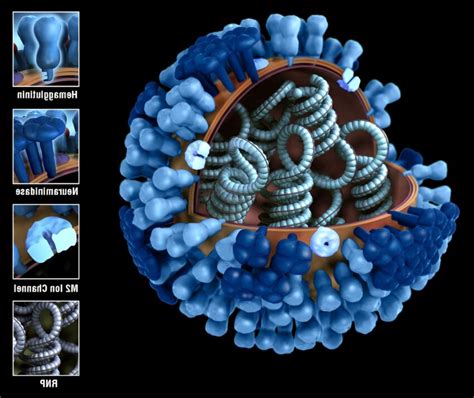 Imagen Gratis 3d Modelo Parte Los Viriones Externo Proteínas