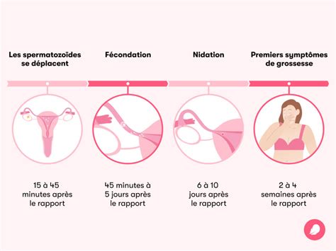 Combien De Temps Faut Il Pour Tomber Enceinte