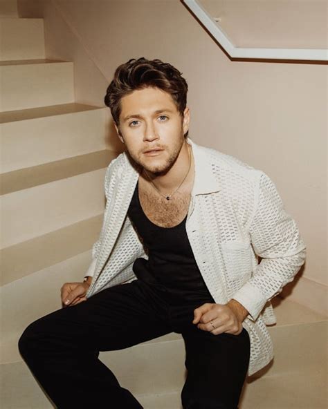 Niall Horan Releases New Single Meltdown Ineews All The Best News