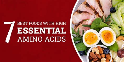7 Foods High Amino Acids Amino Acid Deficiency Rejuvenate 2021