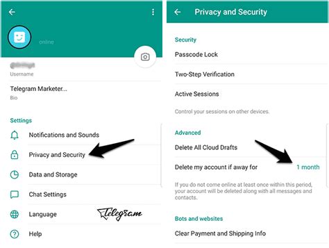 How To Delete Telegram Account Permanently Android IPhone Dektop