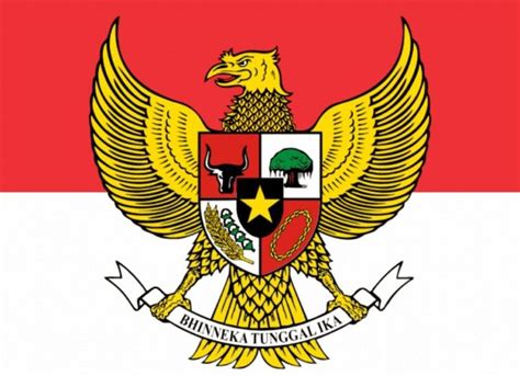 5 Urutan Lambang Garuda Pancasila Beserta Artinya Lengkap Reverasite