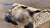 Lake Mead body in barrel: News team finds 2nd barrel where human ...