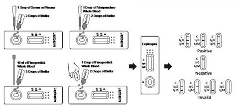 Leptospirosis Blood Screening Test Kit