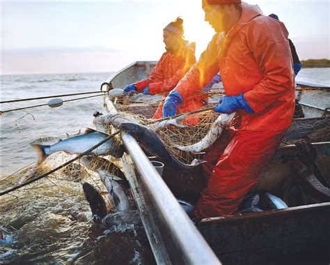 Alaska Seafood La Solución A La Sobrepesca No Es Dejar De Comer