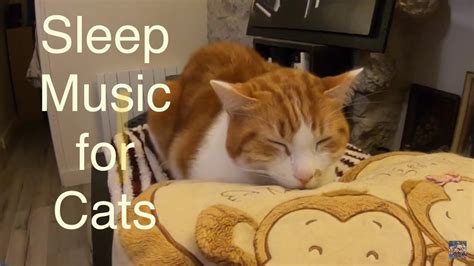 1 Hour Of Relaxing Music For Cats 고양이를위한 편안한 음악 Relax My Cat 猫 🇫🇷 Free
