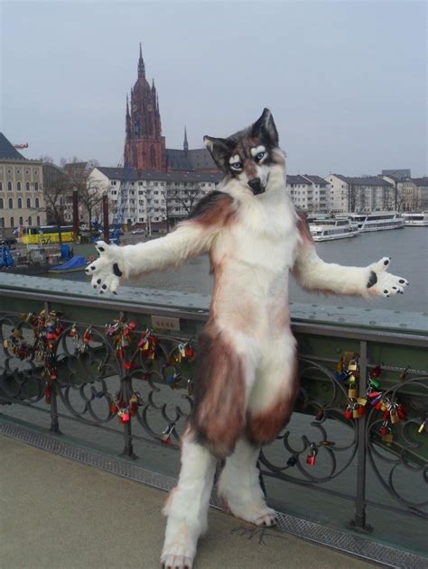 I Like This One A Lot Its My Favorite One Wolf Fursuit Furry Art