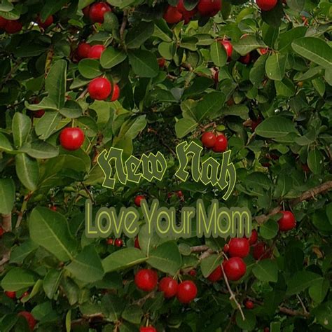 love your mom album by new nah spotify