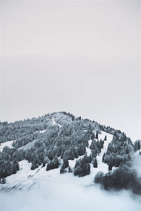 Mountain Trees Snow Hill Fog Hd Phone Wallpaper Peakpx