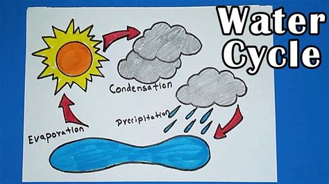 35 Draw Water Cycle And Label Labels 2021