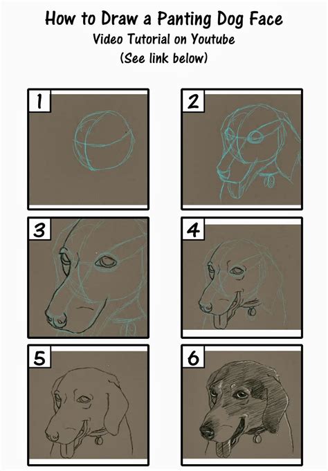 When it comes to drawing ears, dog ears can be really difficult. Savanna Williams: How to Draw Dogs Video Tutorials ...