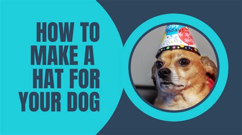 How To Make A Dog Hat Ways To Make A Diy Hat For Dogs Lucky Pug