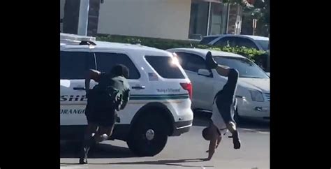 florida man attempts to flee police by doing cartwheels video