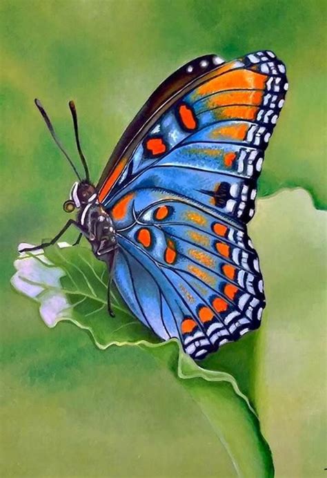 45 Butterfly Easy Wall Painting Ideas For Beginners
