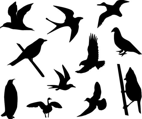 Birds Silhouette Vectors Graphic Art Designs In Editable Ai Eps Svg