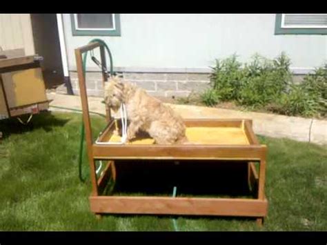 Check spelling or type a new query. Dog Wash Station 1 - First Use - YouTube
