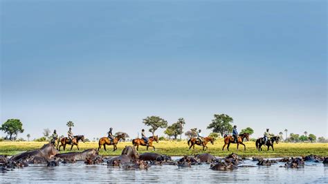 In The Okavango Delta Horseback Safaris Offer A Whole New Perspective