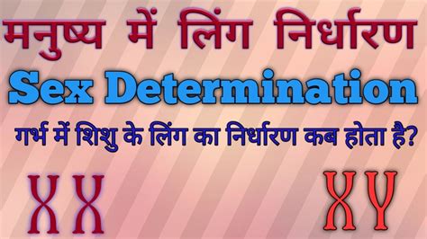 Sex Determination In Humans Class 10th And 12th । मनुष्य में लिंग