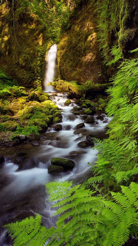 Wallpaper Landscape Forest Waterfall Rock Nature Green River Valley Wilderness Stream