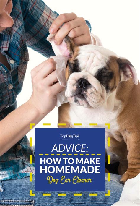 So, understanding how to clean the ears at home, it is important to understand, how should be this procedure. How to Make Homemade Dog Ear Cleaner