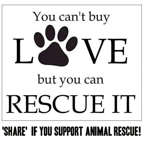 Animal Quotes Dog Quotes Dog Sayings Rescue Dogs Animal Rescue Lab