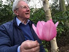 Doddington Place Gardens - » Legendary plantsman, Maurice Foster ...