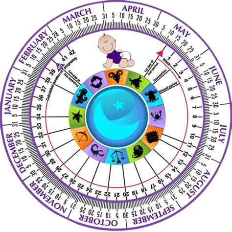 Gestation Calculator By Edd Mayshajette