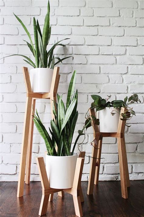 Choosing Plant Stands For Indoor Plants Plant Decor