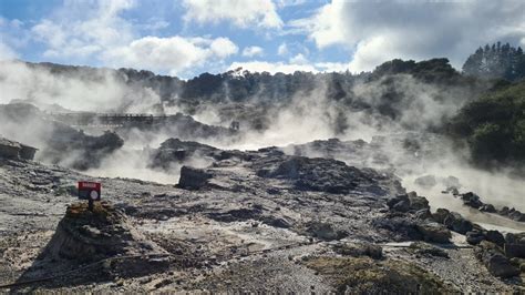 Hell S Gate Rotorua Mud Pools And Geothermal Walkway Discover Aotearoa