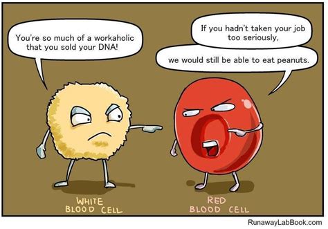 Pin By خديجة On Hematology Biology Humor Biology Jokes Science