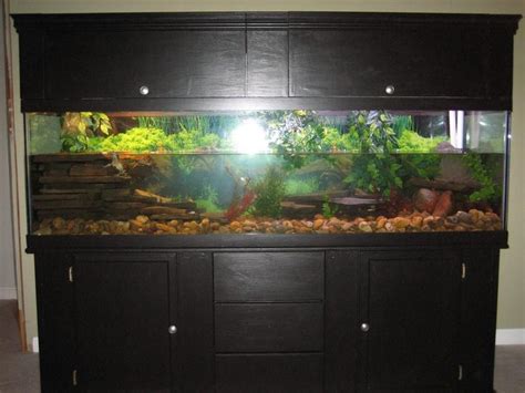 The water quality in your turtle aquarium has to be high, regular water changes will help with this but you will need to add some form of filtration. A007grif's Additional Tank Picture Photo (ID 23140) - Full ...