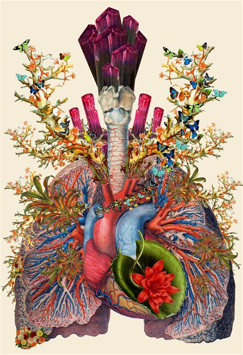 Terra Incognita The Visionary Collages Of Travis Bedel