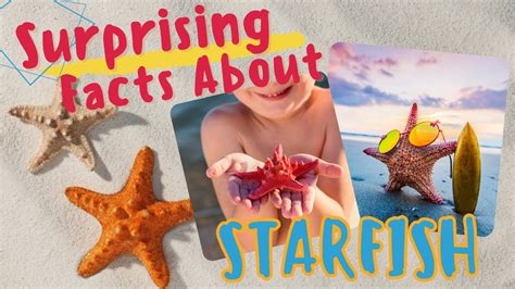 Facts About Starfish That Will Surely Surprise You Science For Kids
