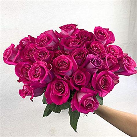 Green Choice Flowers 24 2 Dozen Premium Hot Pink Fresh